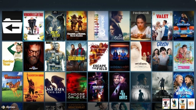 Kodi videonerd build